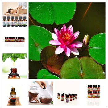 

HANCHAN Essential Oil Natural Aroma Oil Pomegranate flowers Body Massage Oil Water-soluble Aromatic Pure Home Air Care 10ML