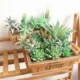 Plantas suculentas artificiales de flocado verde, decoración de jardín, arreglo floral, accesorios de baño, Planta Artificial