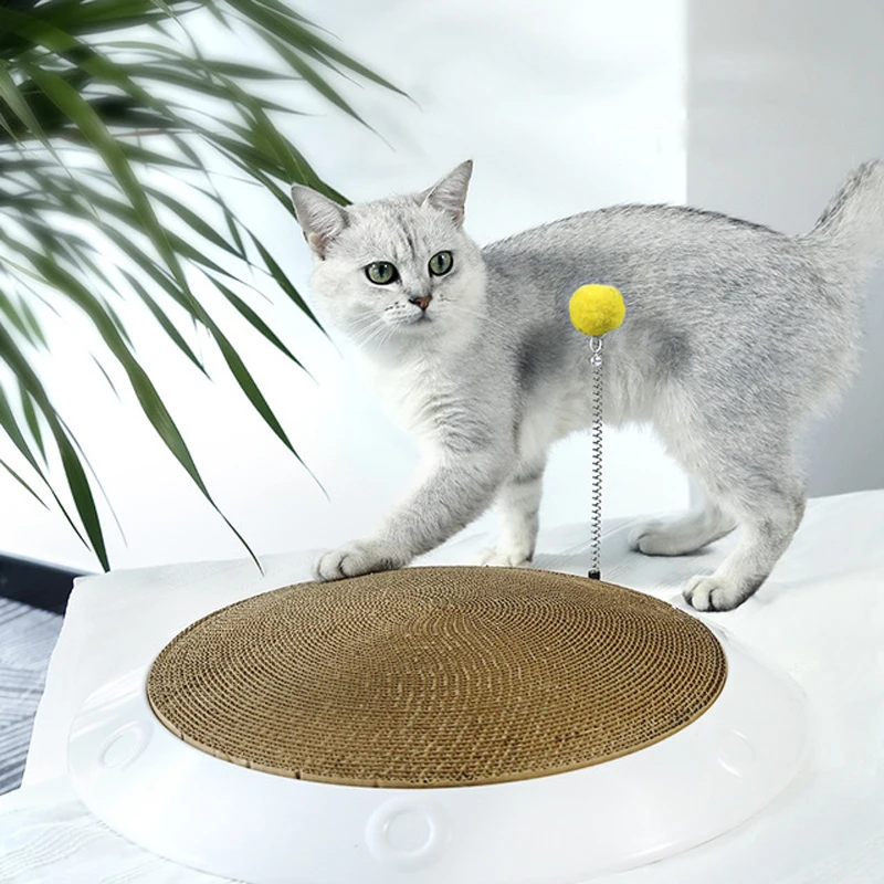 19489790553_1432003957