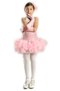 

Professional Ballet Tutu Leotard Korean Girls Princess Dress , Flower Girl Children Wedding Performing Dance Performances Skirt