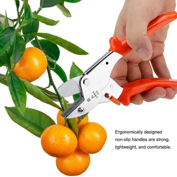 

Professionally Garden Bypass Pruning Shears Scissors Branches Cutter and Safety Lock Graft Tool Garden Fruit Tree Pruner Scissor