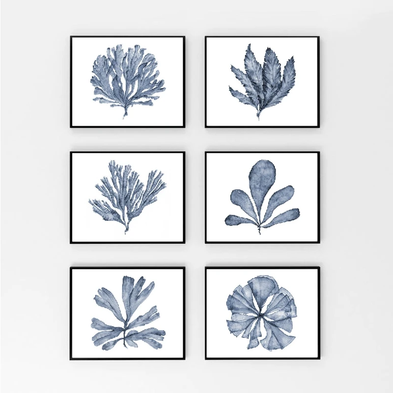 Coral Sea Fan Watercolor Wall Art Prints