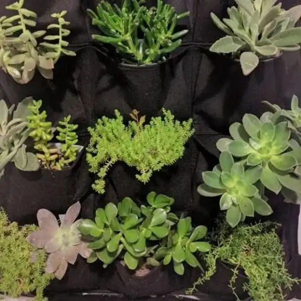 jardin bolsa colgante de planta de pared para jardin bolsillos de jardineria vertical tela de fieltro negra suministros para cultivo de macetas