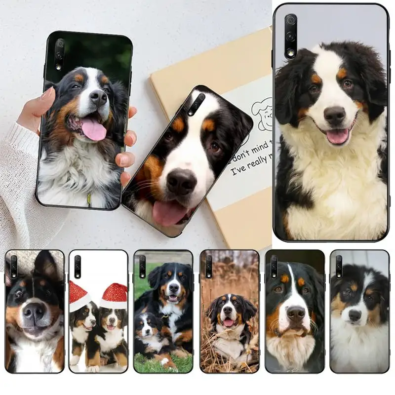 Мягкий чехол для телефона Bernese Mountain Dog Capa Huawei Honor 30 20 10 9 8 8x 8c v30 Lite view pro|Бамперы| |