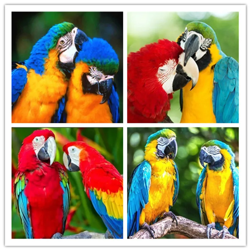 

5D Diamond Embroidery Landscape bird Parrot Diamond Embroidery Parrot Full Diamond Cross Stitch Animals Home Frescoes