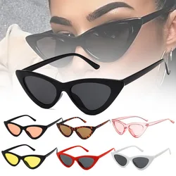 Fashion Cute Sexy Ladies Cat Eye Sunglasses Women Vintage Retro Small Triangular Cateye Glasses Female Outdoor Eyewear 2021 Sale