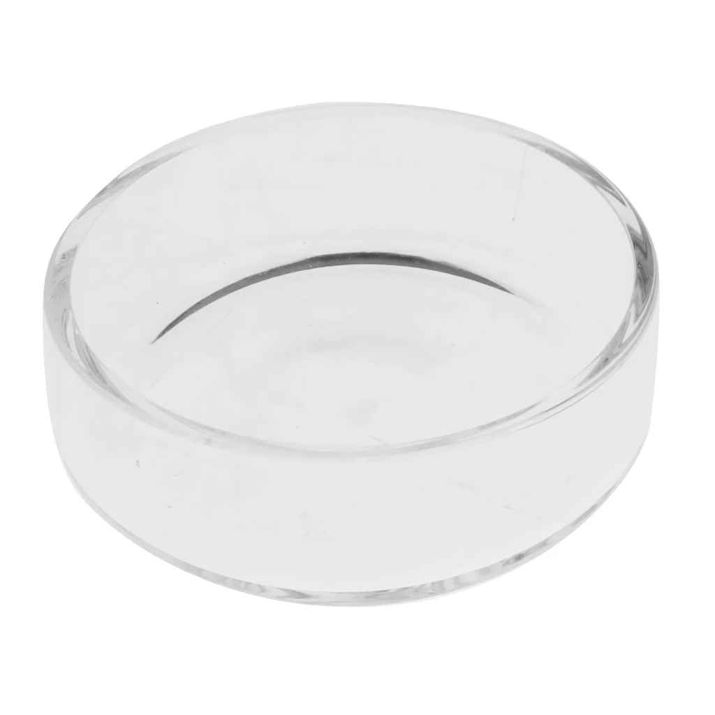 3 pcs Aqua Fish Pond Shrimp Feeder Food Dish Bowl Feeder Tray Container Glass Shrimp Feeding Dish for Shrimp Food Round