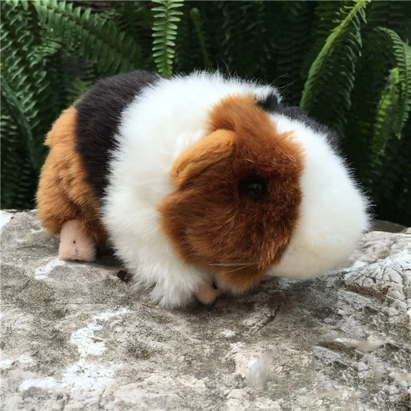 Wig de sneeuw vasteland Drie Kleur Levensechte Cavia Knuffel Echte Leven Muis Ratten Knuffeldier  Speelgoed Kerst Cadeaus Voor Kinderen|null| - AliExpress