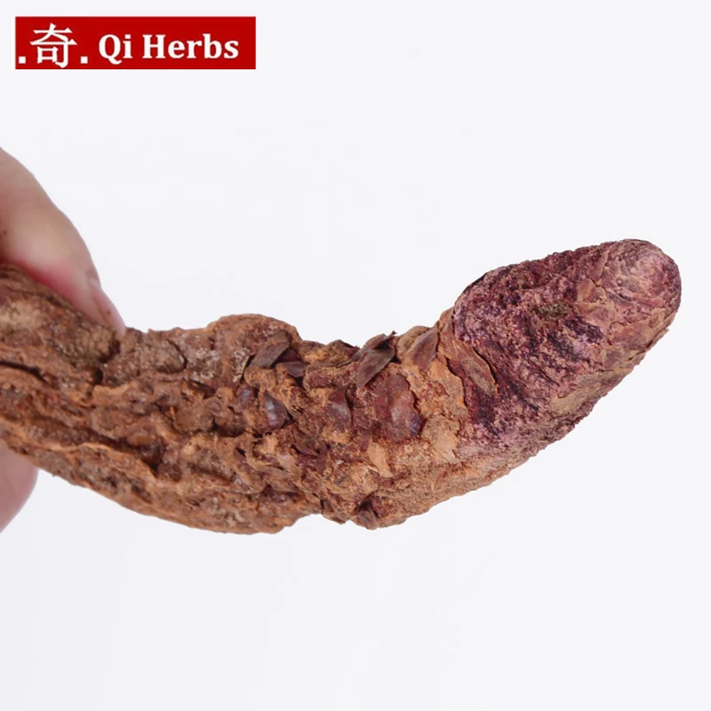100% натуральный тоник дикий Тибет Herba Cynomorium SuoYang сексуальное здоровье| |