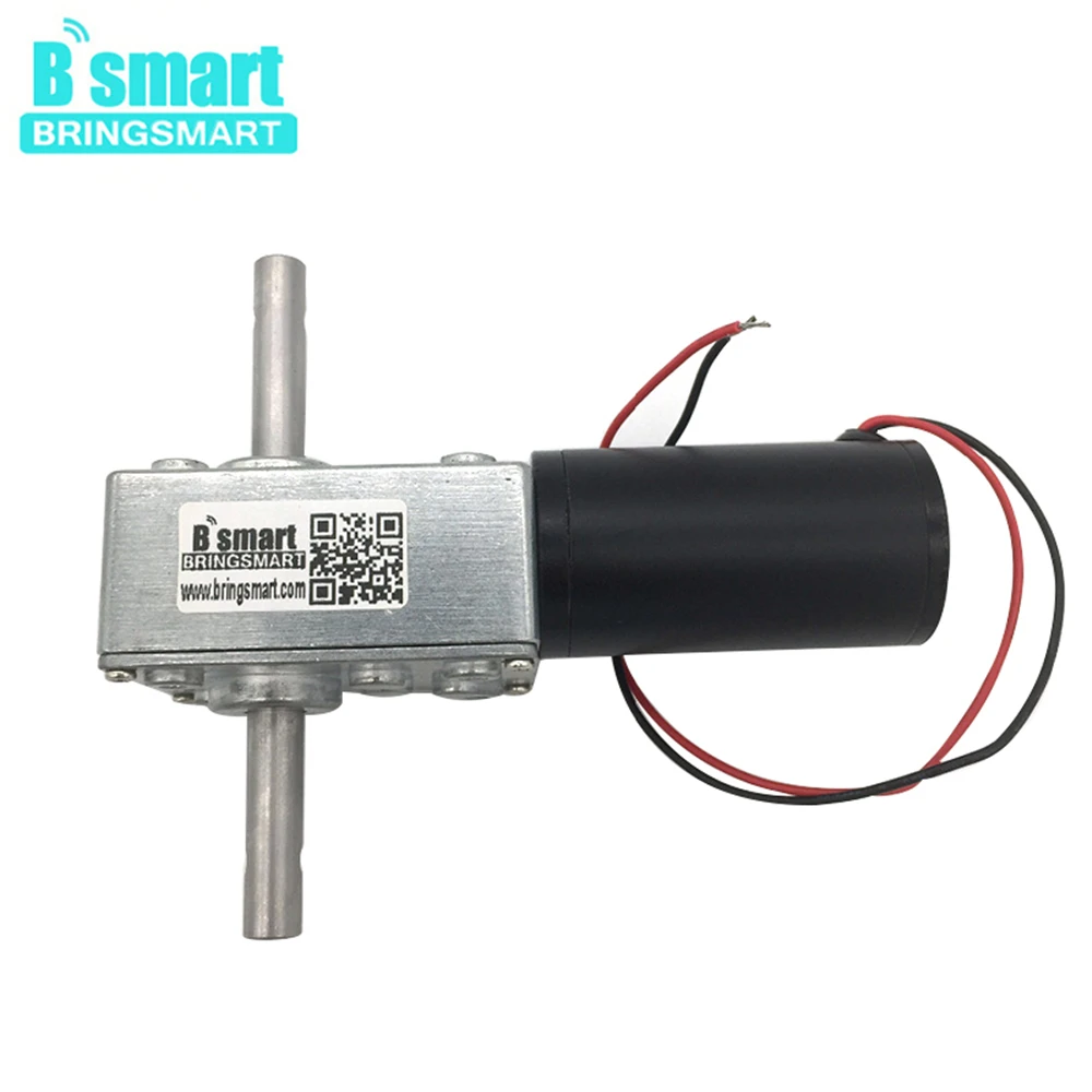 Bringsmart Worm Geared Motor 5840-31zy DC 24V 12V Mini Reducer Low Speed 5-470rpm High Torque 33mm Length Double Shaft Motor