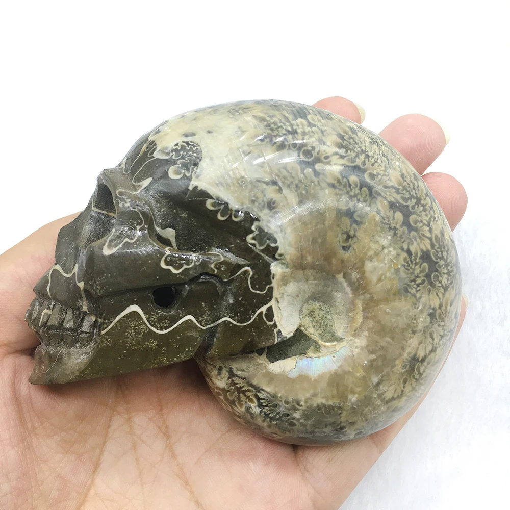 Ручной работы настоящий аммонит Fossil Статуэтка-Череп кварцевый хрустальный череп Мадагаскар образец минерала целебные хрустальные украшения для дома