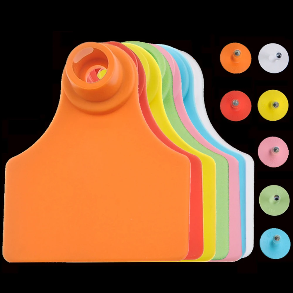 Placa de identificación para animales de granja, sin palabra, marcador en blanco, con pendientes, 7 colores, 5 uds.