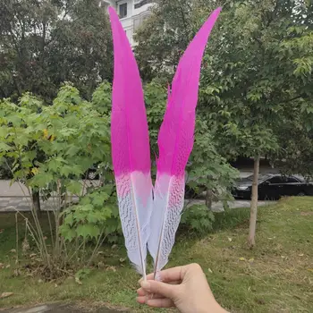 

Hot 50/100 pcs Natural Silver Pheasant Tail Feather 60-65cm/24-26inches For Wedding Christmas Home Craft New Year Decoration