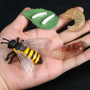 

1 Set Simulation Animal Growth Ornaments Animal Display Models for Kids