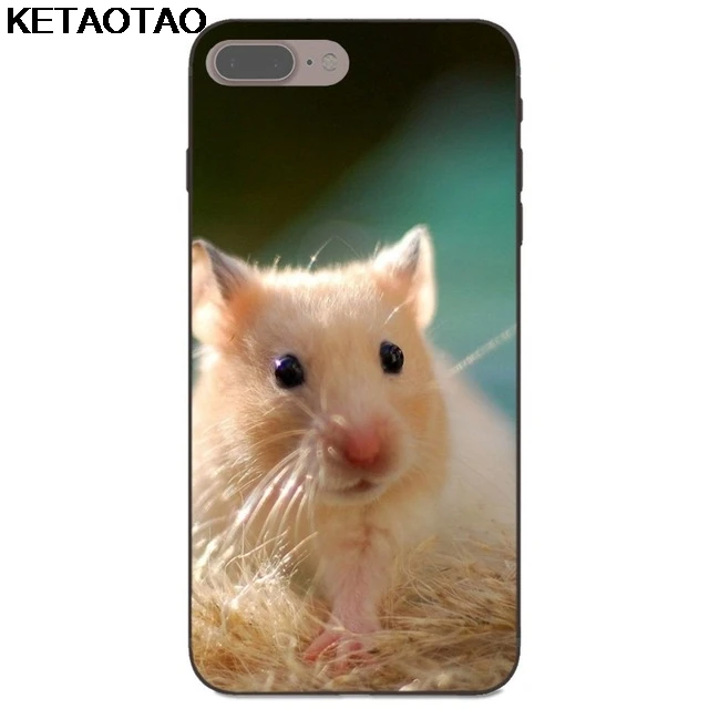 KETAOTAO чехол для телефона с милым животным хомяком s для iPhone 4 5C 5S 6S 7 8 Plus X XS XR 11 Pro для samsung чехол из мягкого ТПУ резины силикона - Цвет: Хаки