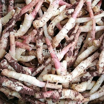 

Ngryise 10Pcs A Set Red Ginger