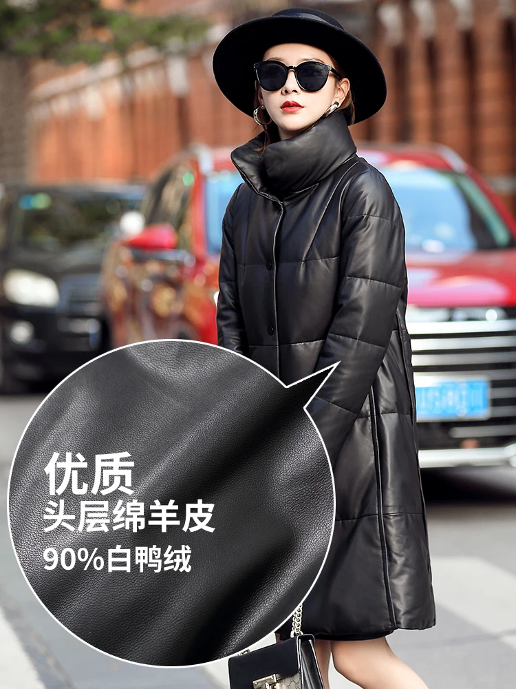 SCANS 20v Professional Cordless Drill SC1180