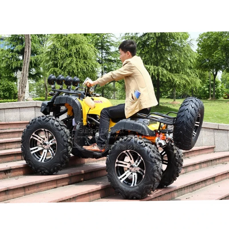 С запасными шинами 250CC газ bycicle ATV гоночный картинг автомобиль пляж Багги взрослый