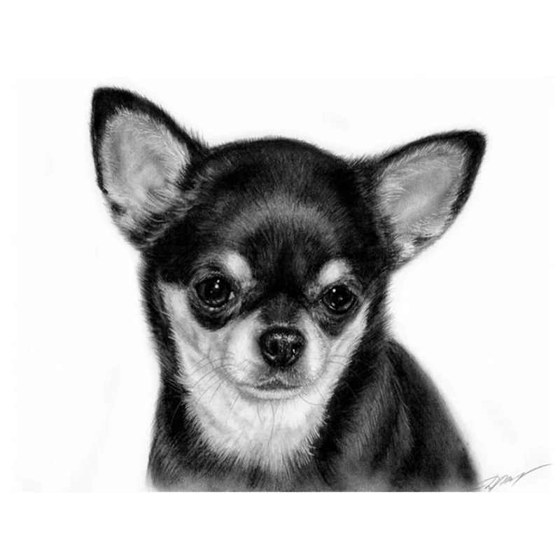 Black-chihuahua-dog-5D-DIY-Diamond-Painting-Full-Square-Drill-Resin-Embroidery-Diamond-Mosaic-cross-stitch