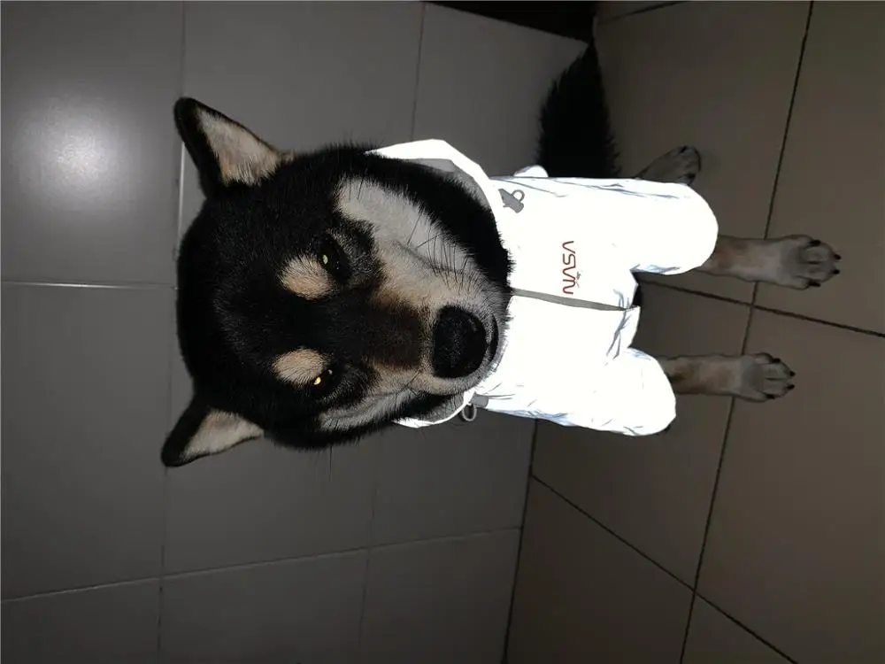 92987021e227ede39e76bcf9e2d1732