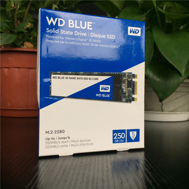 Western Digital WD Internal SATA M.2 SSD 250 ГБ 500 Гб NGFF твердотельный накопитель 1 ТБ 2 внутренний 2280