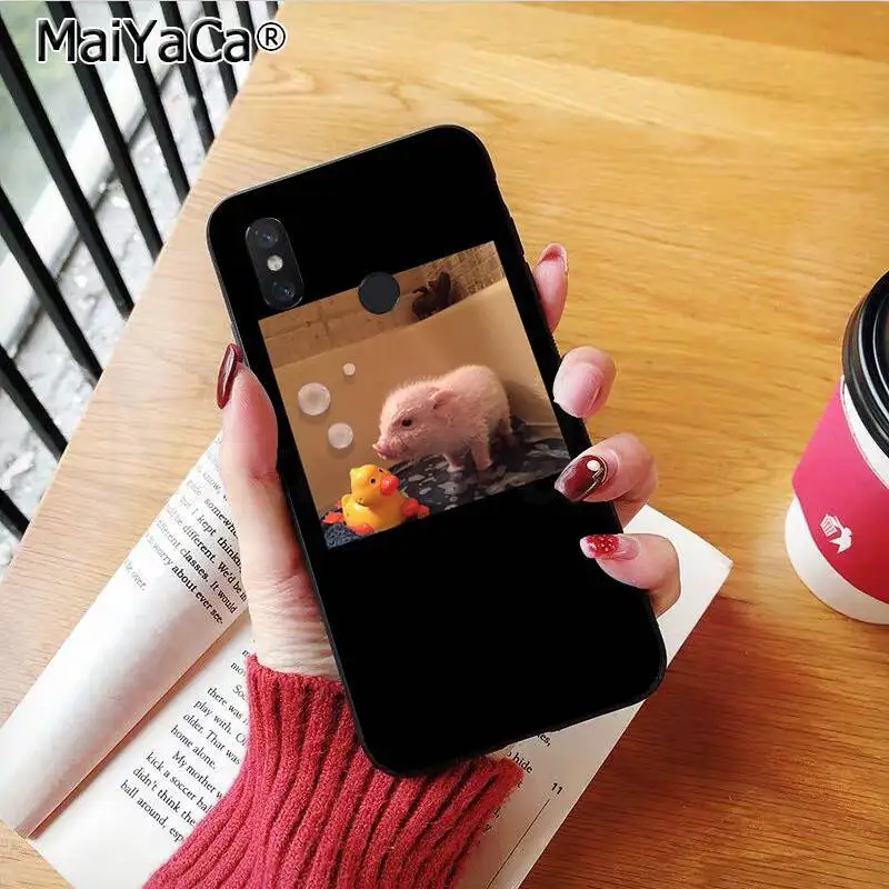 Couples Cartoon Lovely Pink Pet Pig