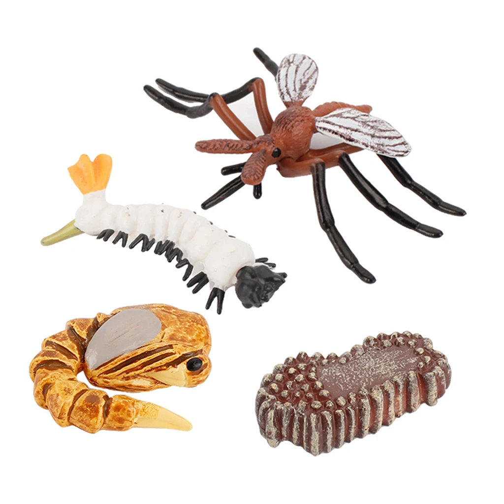 Early Kids Toddlers Simulation Animals Growth Cycle Toy Pretend Play Animal Growth Cycle Teaching Aids Early Educational Toy