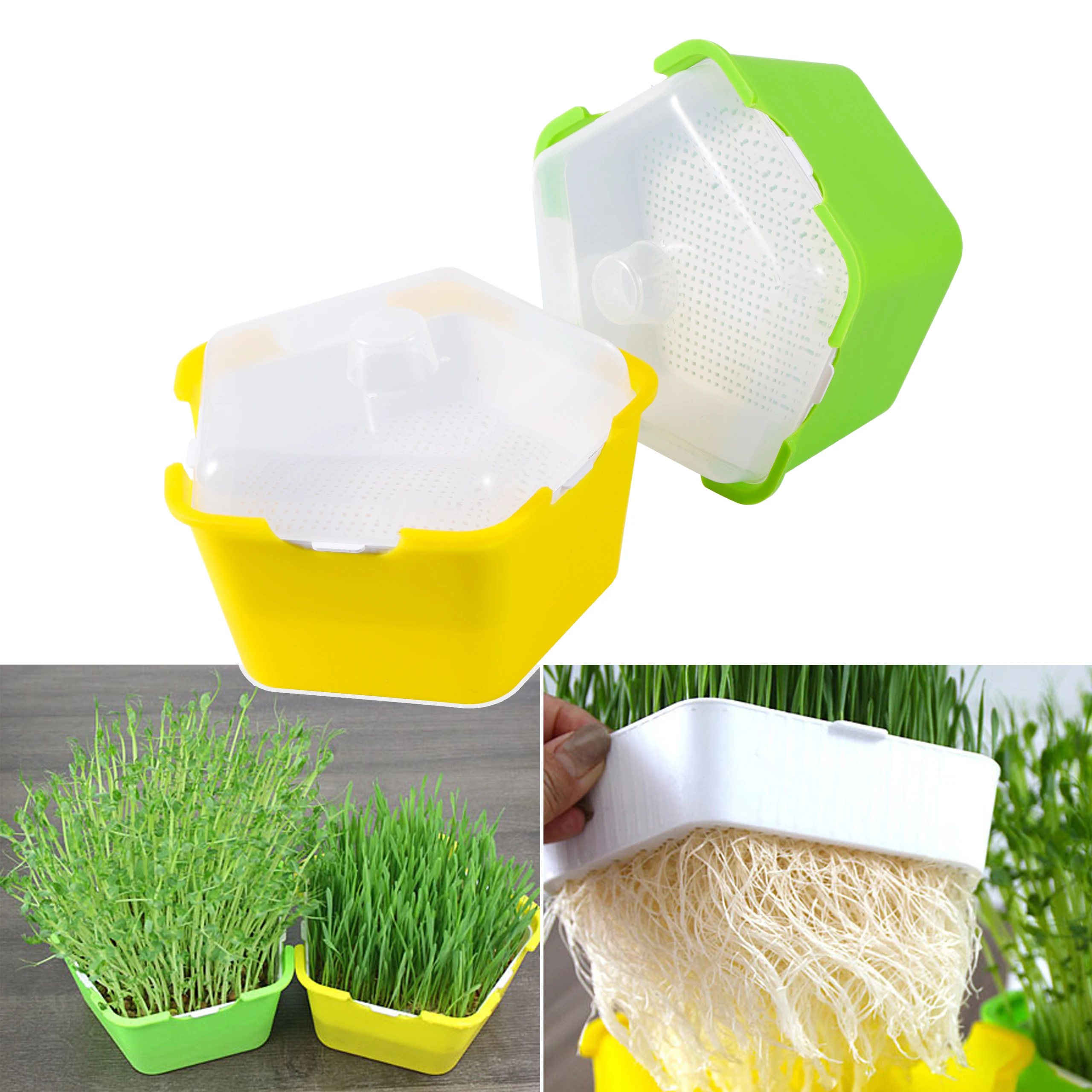 Bean Sprouts Growing Tray Seed Seedling Starter Dish Greenhouse Hydroponics Plant Cat Grass Germination Nursery Pot Grow Box seed starter tray seedling tray sprout growing kit