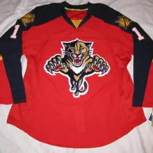1 Rosso Luongo Florida Panthers Мужская Ретро футболка с вышивкой для хоккея, сшитая по индивидуальному заказу под любым номером и именем