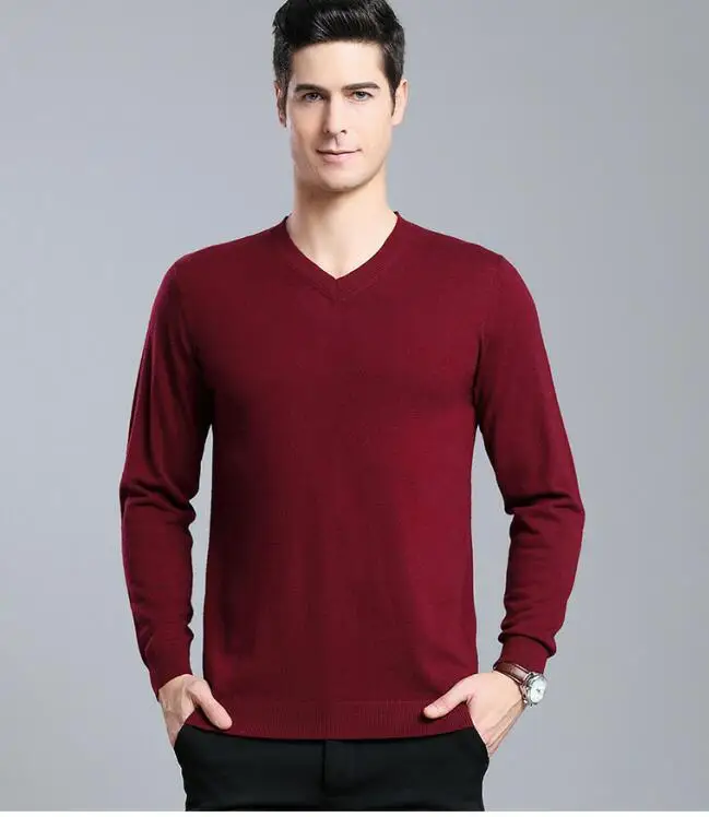 Sweater Men Casual V-Neck Pullover Men Autumn Slim Fit Long Sleeve Shirt Mens Sweaters Knitted Cashmere Wool