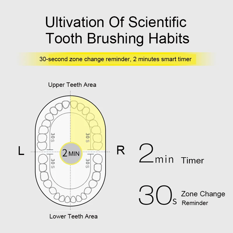 Seago 5gear Ultra Sonic Electric Toothbrush Tooth Brush USB Rechargeable Adult IPX7 Waterproof Ultrasonic Automatic Smart Timer