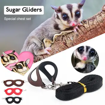 

Lizard Crawling Pets Anti-lost Traction Rope Letting Wind Anti flying Rope Pet Supplies