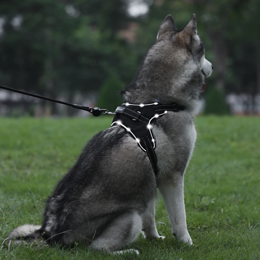 

Hot New LED Lamp Dog Harness LED Reflective Dog Vest Harness Breathable Mesh Fabric Safety Chest Vest Harness for Pet Dog Cat Ha