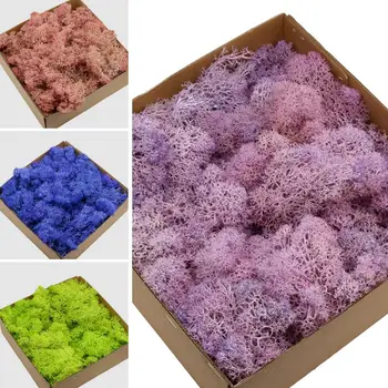 

1 Box Multiple Colors Artificial Plants Eternal Life Dried Moss Preserved Decorative Flowers Wedding Home Decoration