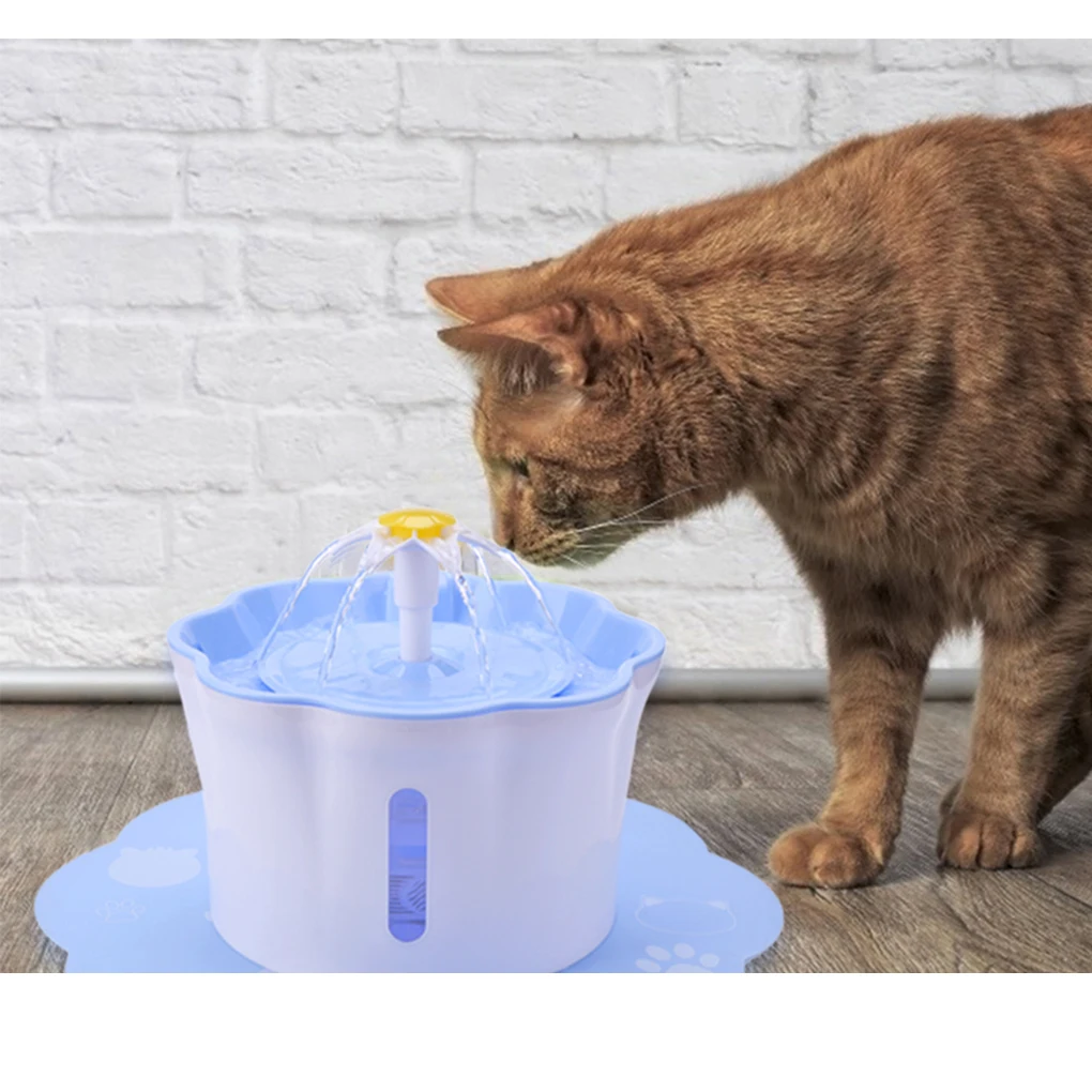 small cat drinking fountain