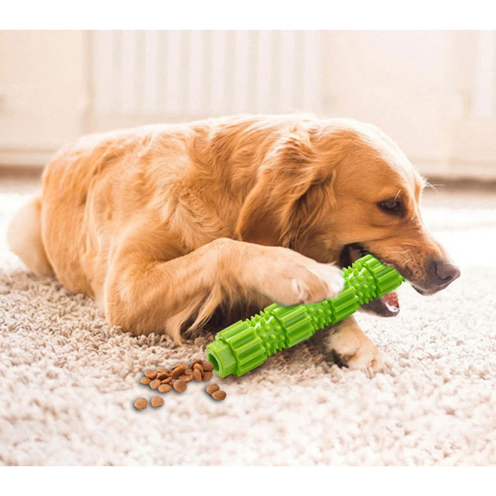soft dog chew bones