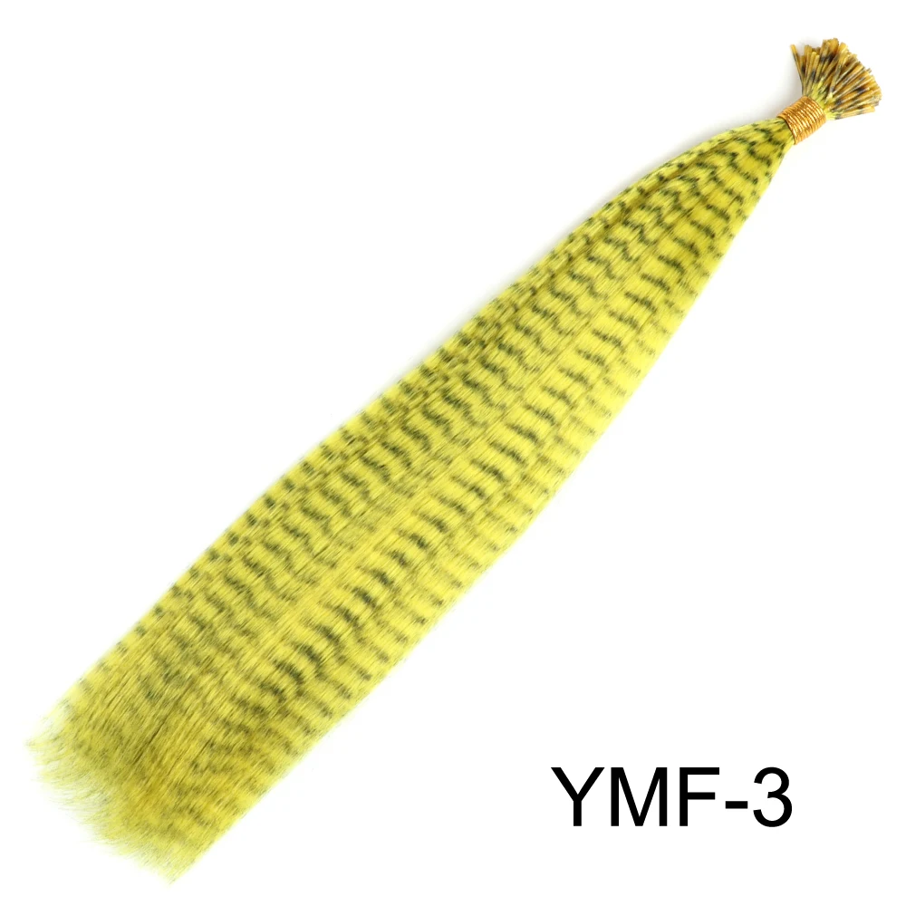 YMF-3