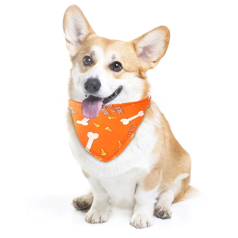 CJJ90916891OR_0948242432231244332