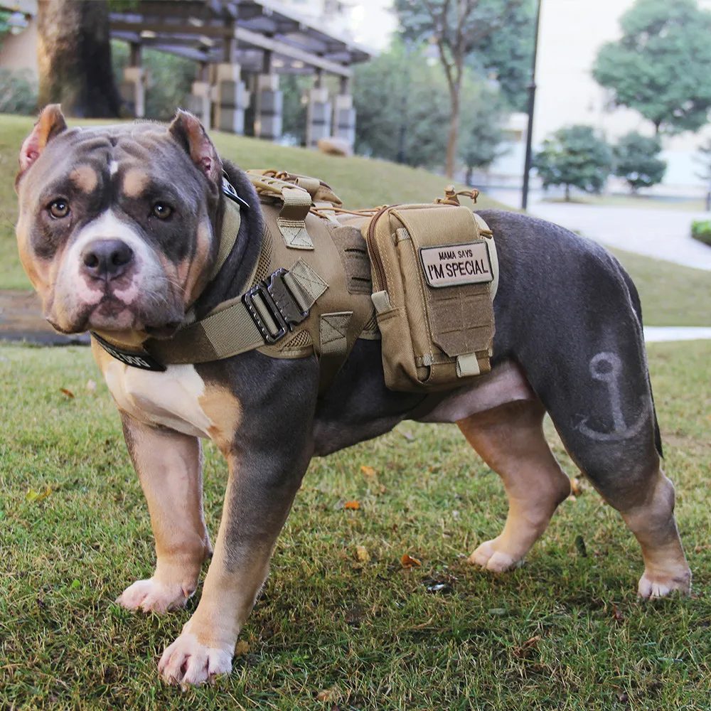

Tactical Dog Vest Harness Service Dog Training Hunting Vest with Handle Working Easy Control for Small Medium Large Dogs Patch