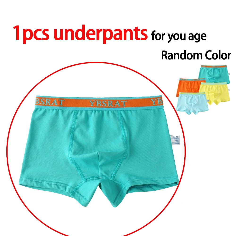 1pcs underpants Футболки для мальчиков с динозавром из мультфильма; хлопковая Детская футболка с круглым вырезом; футболки с длинными рукавами для девочек; топы для мальчиков мультфильм Динозавр; Лоскутная футболка - Цвет: 1pcs underpants