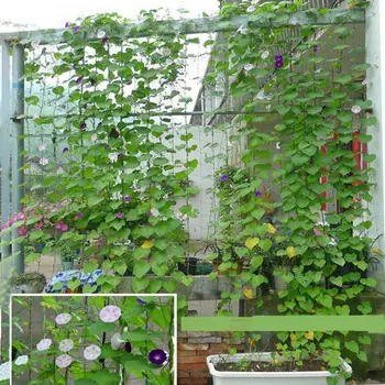 

Durable Nylon Trellis Net Support Garden Fence Nylon Net Bean Plant Climbing Vine Trellis Nets Home Garden Supplies
