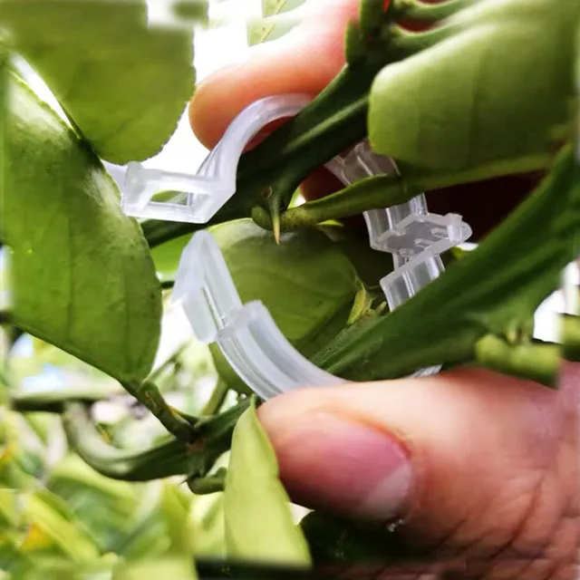 50/100 Dcs Műanyag Növényi Tartó Klipek A Paradicsom Függő Rácsos Szőlőhöz Kötött Növények Üvegházhatású Zöldségek Kerti Dísz - Image 5