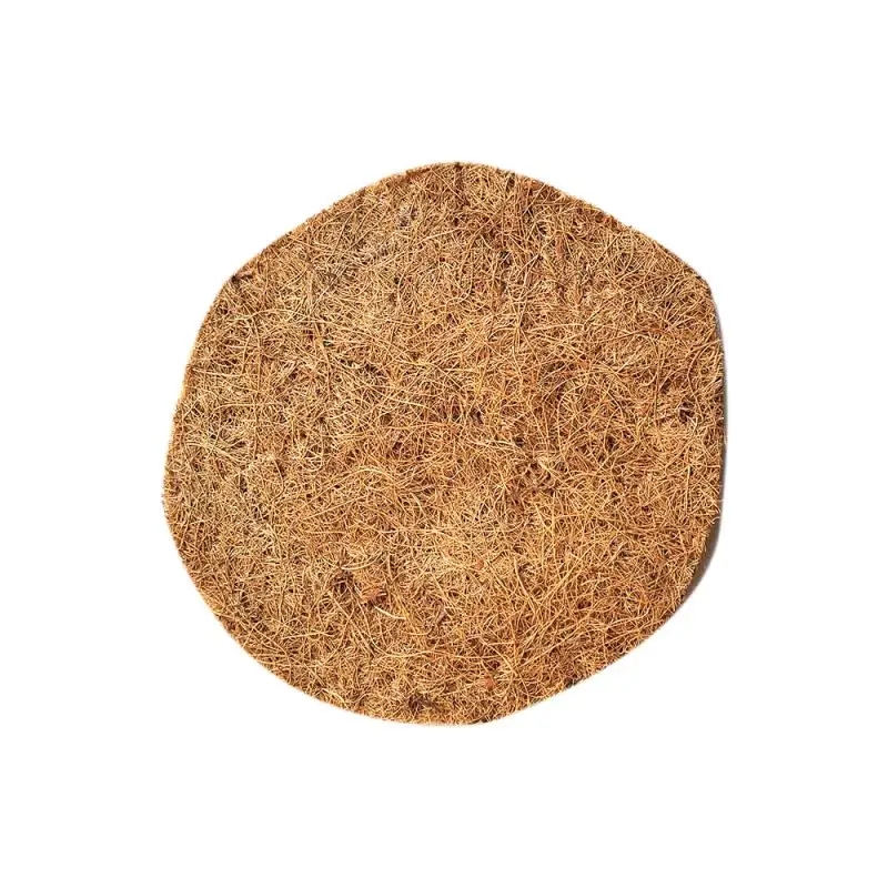 024d79157394969a2139054af191721