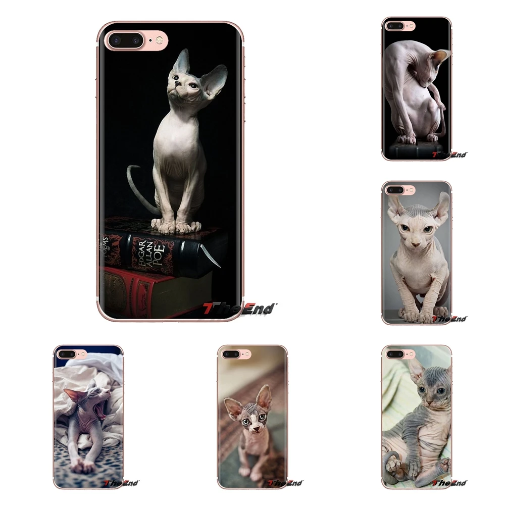 For Samsung Galaxy S3 S4 S5 Mini S6 S7 Edge S8 S9 S10 Plus Note 3 4 5 8 9 Friendliest sphynx cat kitty Poster Phone Shell Covers |