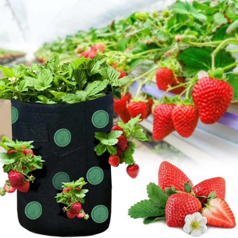 Garden Seedling Bag Strawberry Grow Bag Hanging Breathable Durable Reusable Planting  Growing Bags _ - AliExpress Mobile