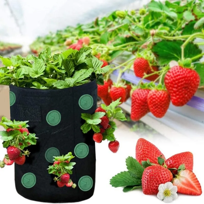 Garden Seedling Bag Strawberry Grow Bag Hanging Breathable Durable