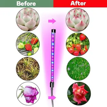 

Full Spectrum High Brightness Energy Saving Eco-Friendly Plants Growth Light Led Grow Light Plant Lamp Flower Vegetables Indoor