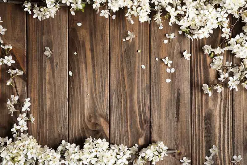 

SHUOZHIKE Vinyl Custom Photography Backdrops Prop Wood Planks Theme Photo Studio Background 19910-15