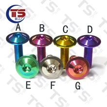 TS Titanium Bolt M6x20mm T30 Titanium Torx  Head Screw for Bicycle Motorcycle Fastener 1pcs