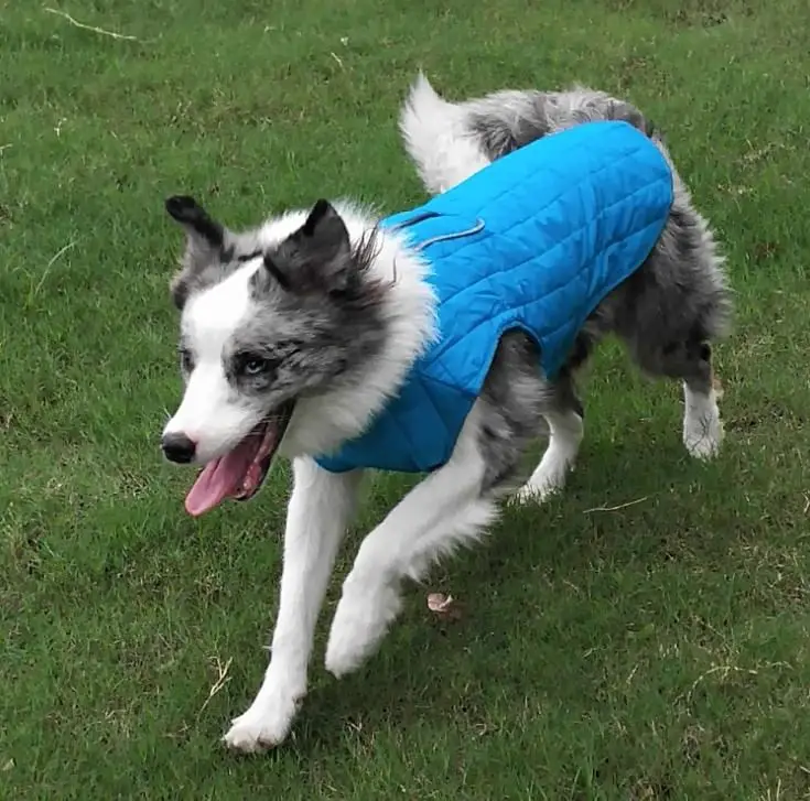 Зимняя одежда для больших собак, светоотражающий водонепроницаемый жилет для больших собак, Двусторонняя куртка для бульдога, Регулируемая Одежда для собак